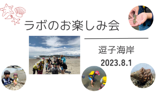 夏休みのお楽しみ会を｢逗子海岸｣で開催しました（2023年8月1日）